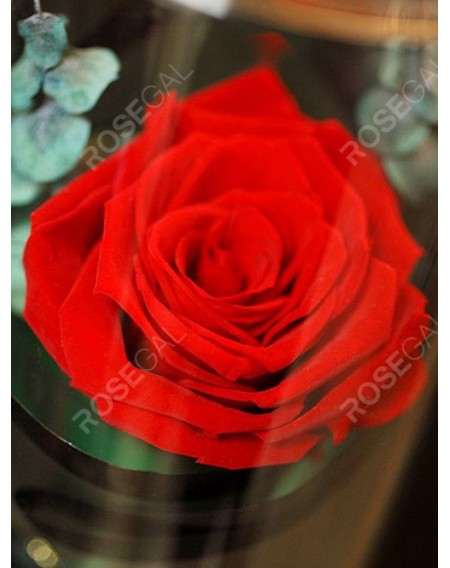 Valentines Day Artificial Rose Flower with LED Light