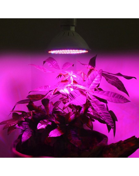 E27 200LED Plant Grow Light Red Blue Hydroponic Flower Veg Growing Lamp 24W