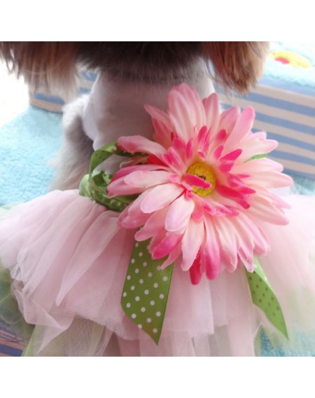 Cartoon Cute Skirt Puppy Hoodie Clothing Dog Cat Skirt Clothes Pet Clothes S-XXL